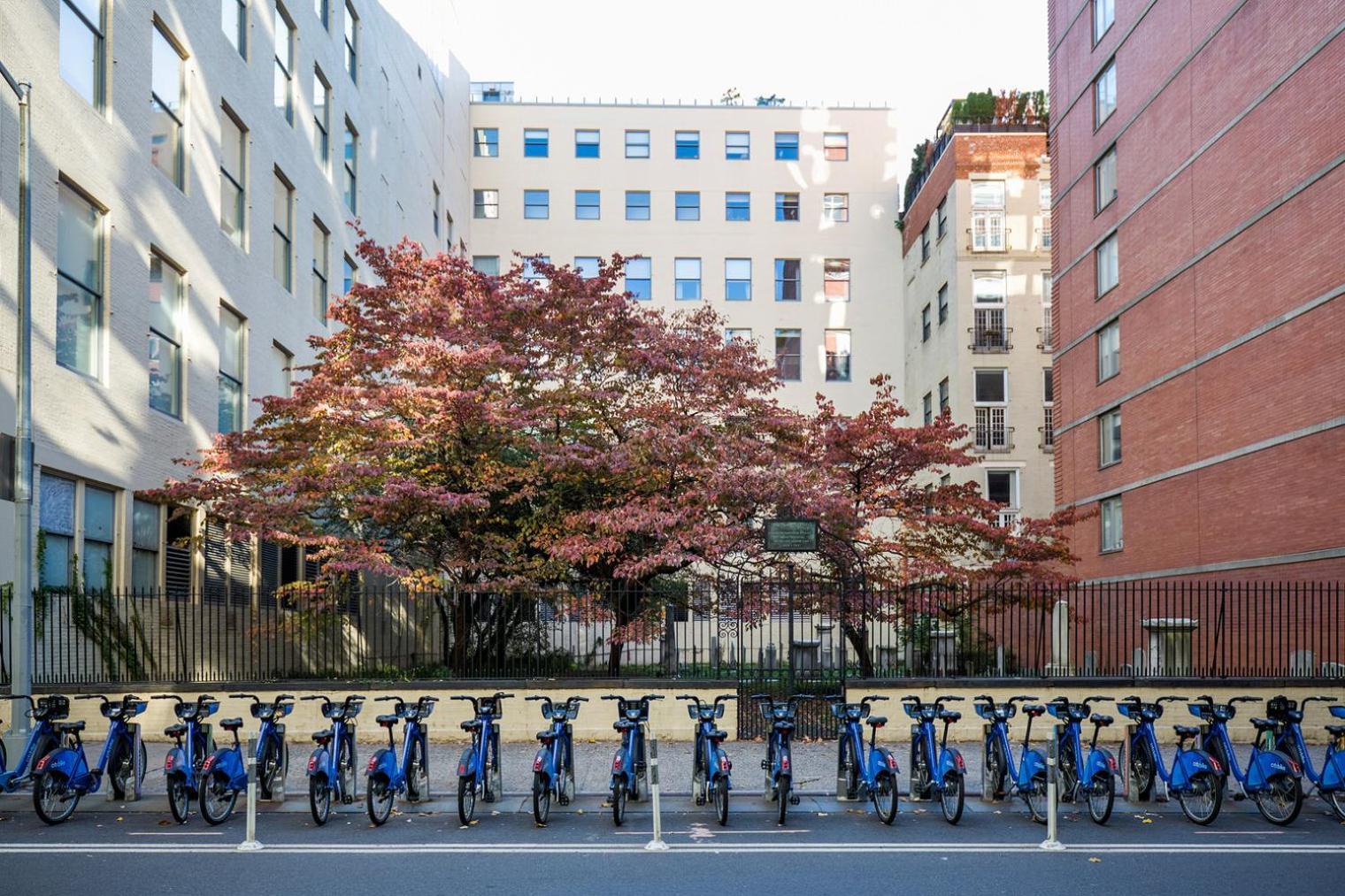 Chelsea 1br W Gym Roofdeck Nr Flatiron Nyc-1386 Apartamento *